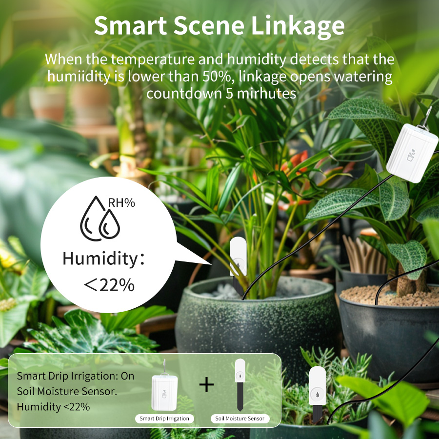 Pengukur Kelembaban Tanah Smar - Smart Home Zigbee 3.0 ulasan dan harga