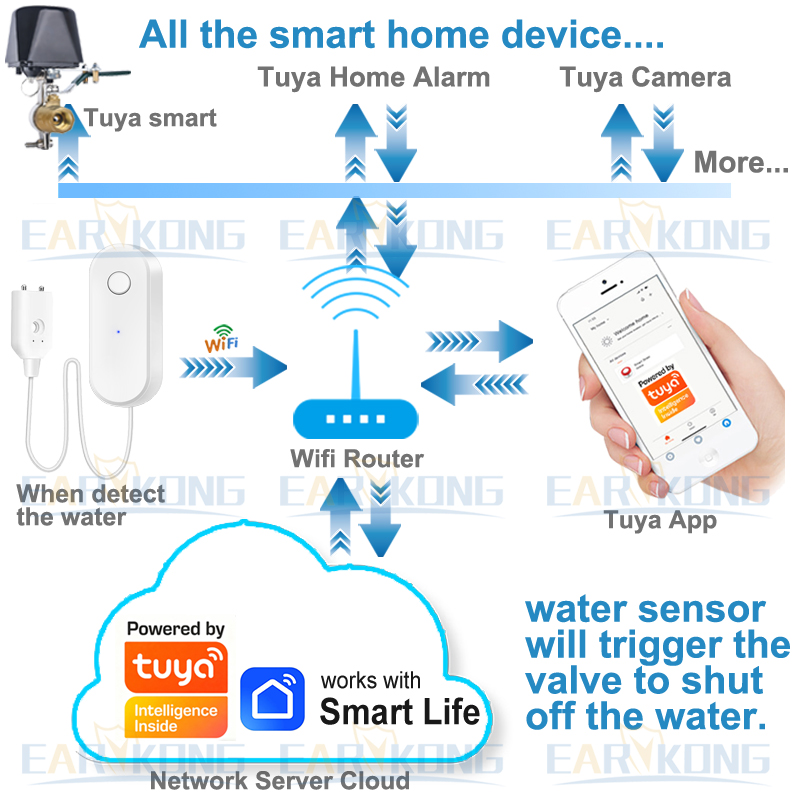 Tuya WiFi Sensor kebocoran air - Wifi Water Sensor ulasan dan harga